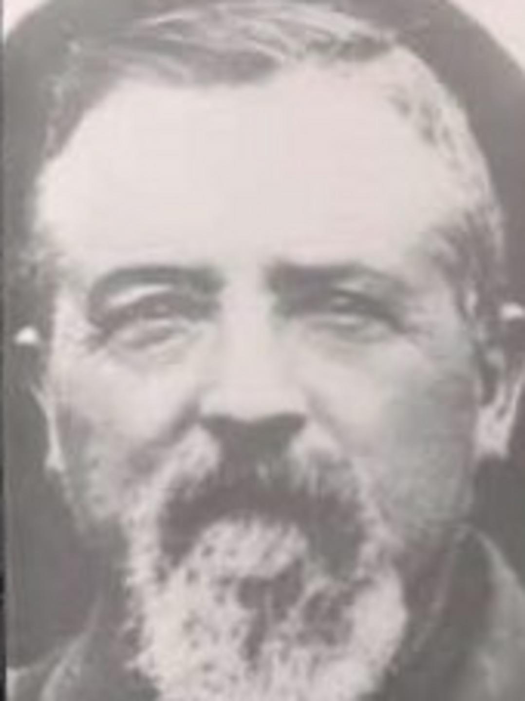 John Thomas (1851 - 1905) Profile